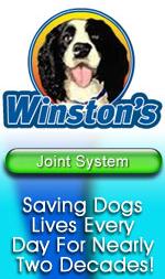 natural joint care